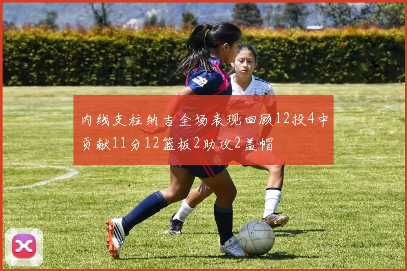 内线支柱纳吉全场表现回顾12投4中贡献11分12篮板2助攻2盖帽